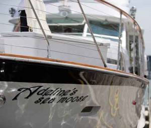 Chicago Private Yacht Rentals charter questions
