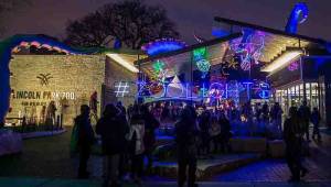 Lincoln Park ZooLights