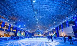 Chicago Light Up The Lake at Navy Pier Ice Skating