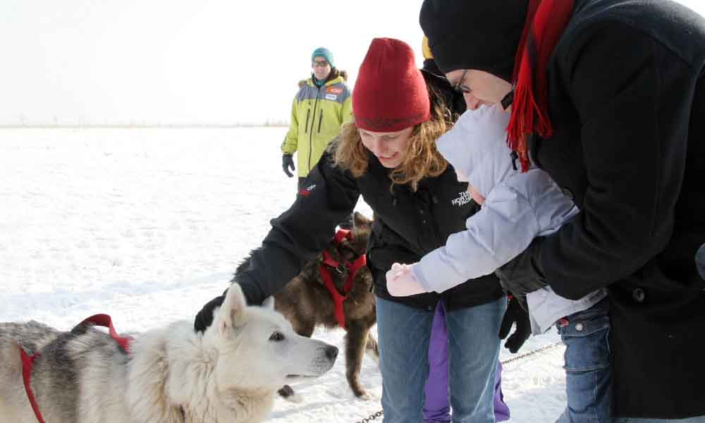 Polar Adventure Days on Northerly Island